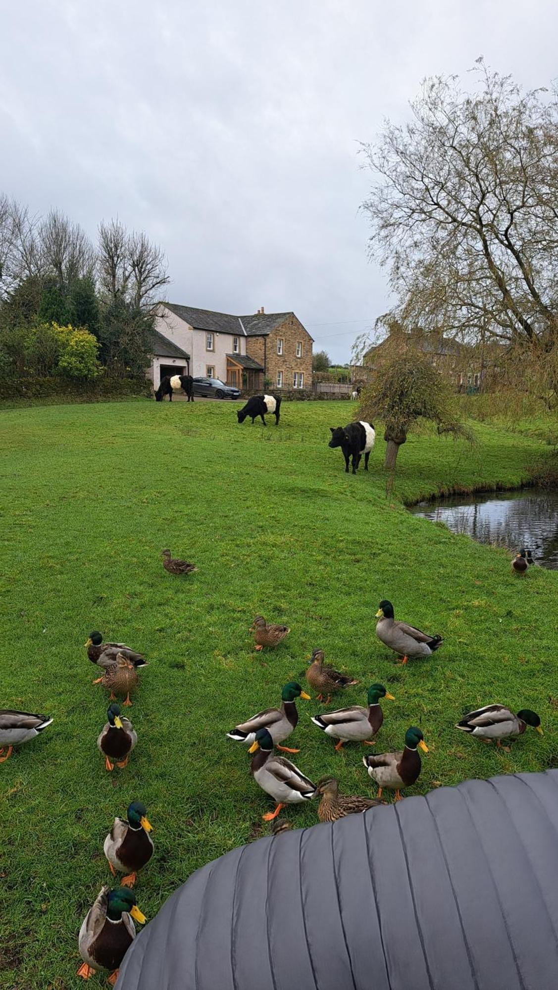 Church House Barn Lake District & Solway Coast With Solway Firth Views Silloth Esterno foto